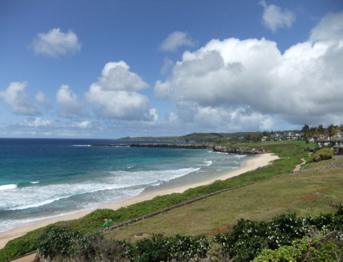 Jump into the action in Maui!